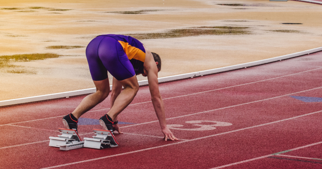 Projekt bez tytułu (1)